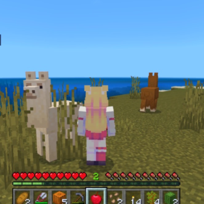 a screenshot of Minecraft, a couple of llamas standing near the player.