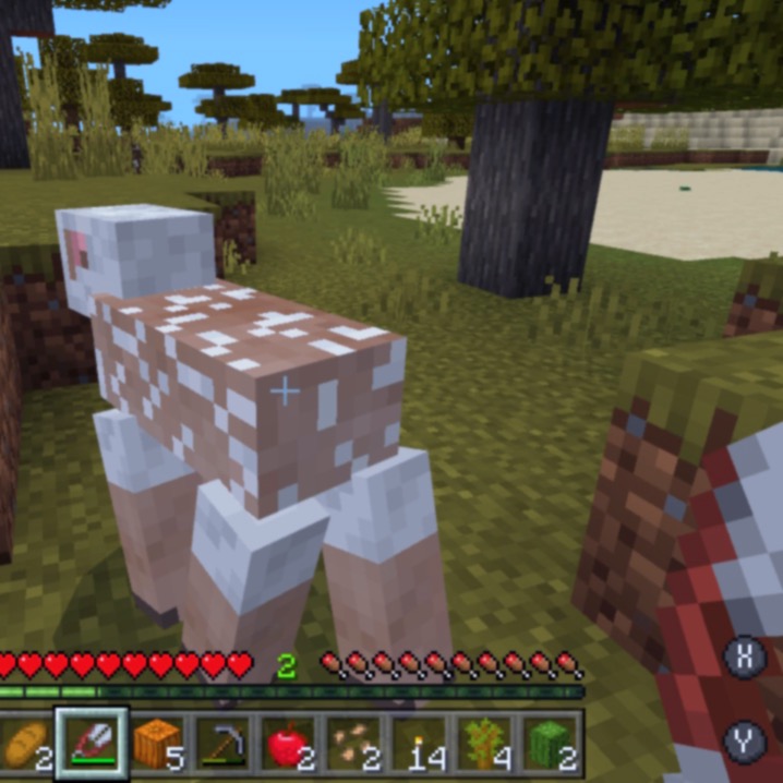 a screenshot of Minecraft, the player is holding a pair of shears in front of a shorn sheep.