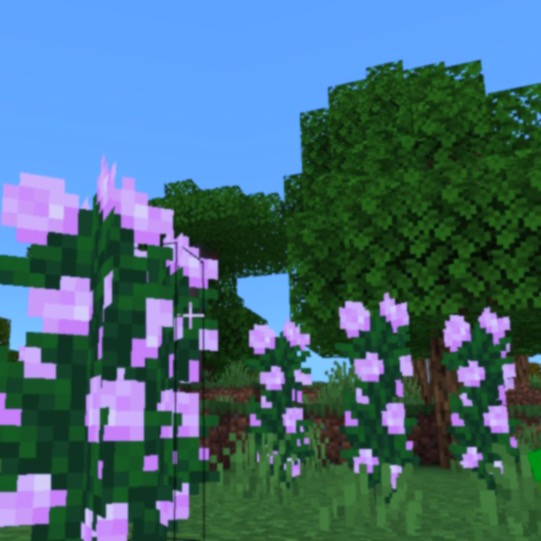 a screenshot of Minecraft, a patch of pink peony flowers in the forest.