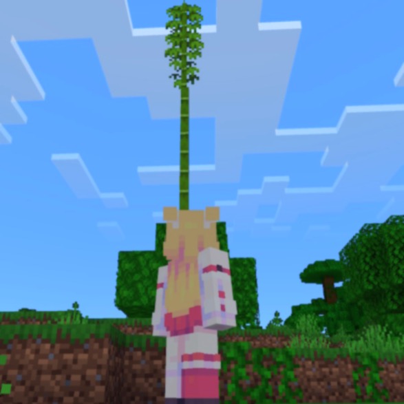 a screenshot of Minecraft, the player is admiring a solitary bamboo plant.