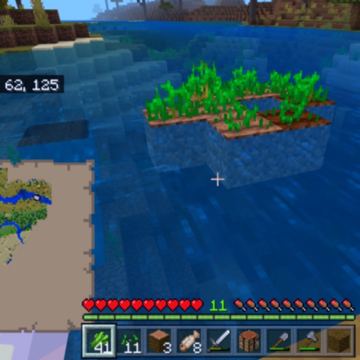 a screenshot of Minecraft, a curious patch of farm floating in the river.